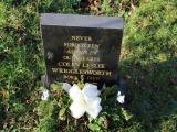 image of grave number 282354